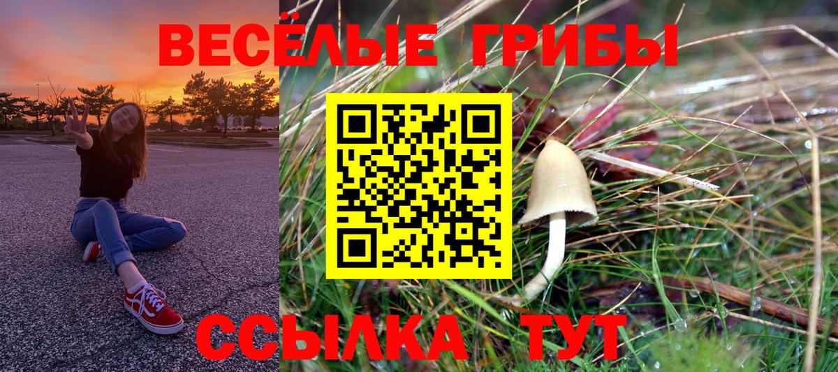 Галлюциногенные грибы GOLDEN TEACHER Комсомольск-на-Амуре