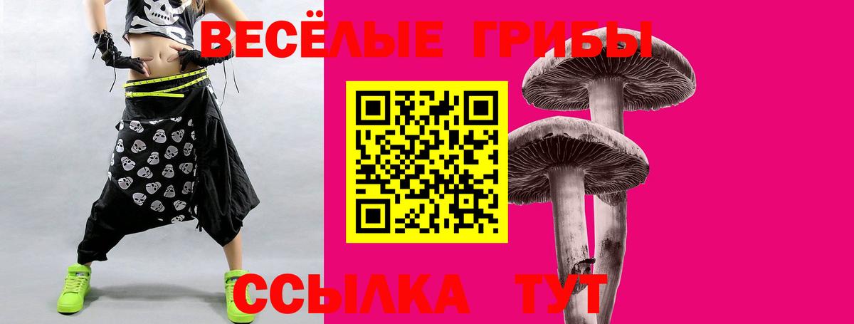 Псилоцибиновые грибы прущие грибы  Вход с VPN  где купить наркоту  Комсомольск-на-Амуре  Галлюциногенные грибы Cubensis 